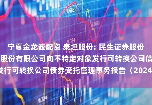 宁夏金龙诚配资 泰坦股份: 民生证券股份有限公司关于浙江泰坦股份有限公司向不特定对象发行可转换公司债券受托管理事务报告（2024年度）